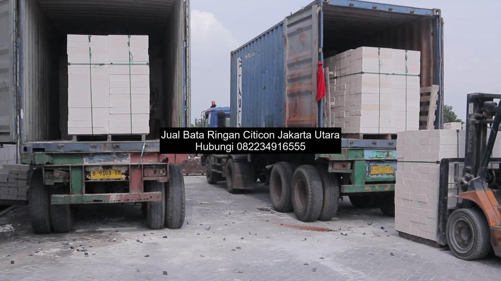 supplier bata ringan citicon Jakarta Utara, bata ringan citicon Jakarta Utara, harga bata ringan citicon per kubik Jakarta Utara, distributor bata ringan citicon Jakarta Utara, pabrik hebel citicon Jakarta Utara, pabrik bata ringan citicon Jakarta Utara, harga hebel citicon per kubik Jakarta Utara, harga bata ringan citicon per biji Jakarta Utara, hebel citicon Jakarta Utara, harga citicon bata ringan di Jakarta Utara, harga bata ringan citicon di Jakarta Utara, jual bata ringan citicon di Jakarta Utara,